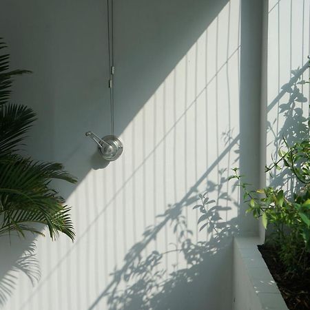 Maiam Homestay Хошимін Екстер'єр фото