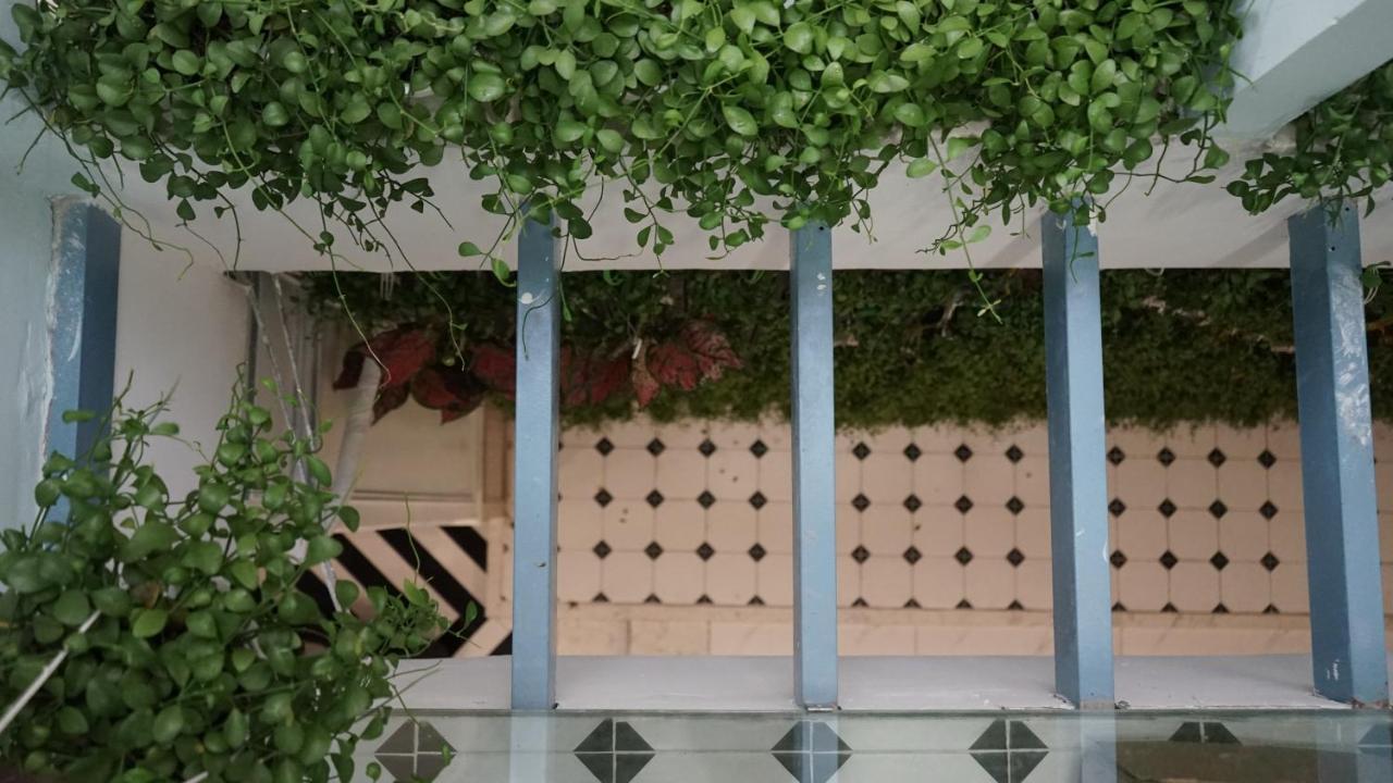 Maiam Homestay Хошимін Екстер'єр фото